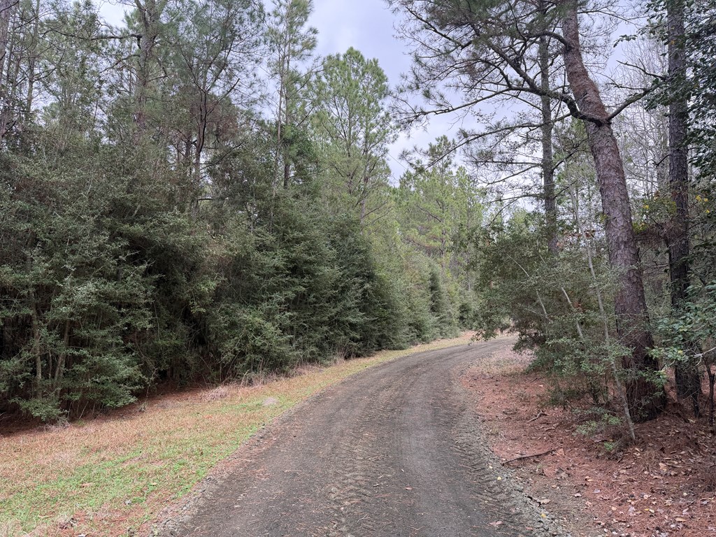 0 Black Squirrel Road East