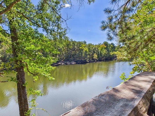 1046 COUNTY ROAD 051, JASPER, TX 75951 - Image 210193dc9904fbfbacdee7c938101eee/1908110912