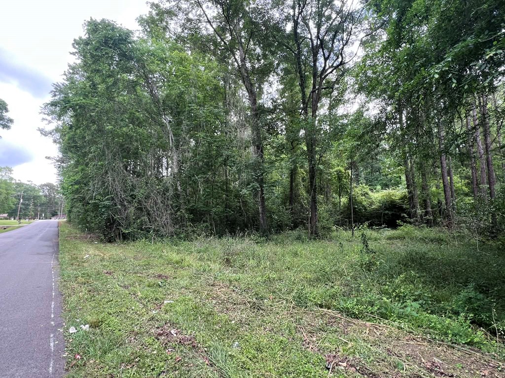 1003 Shady Lane