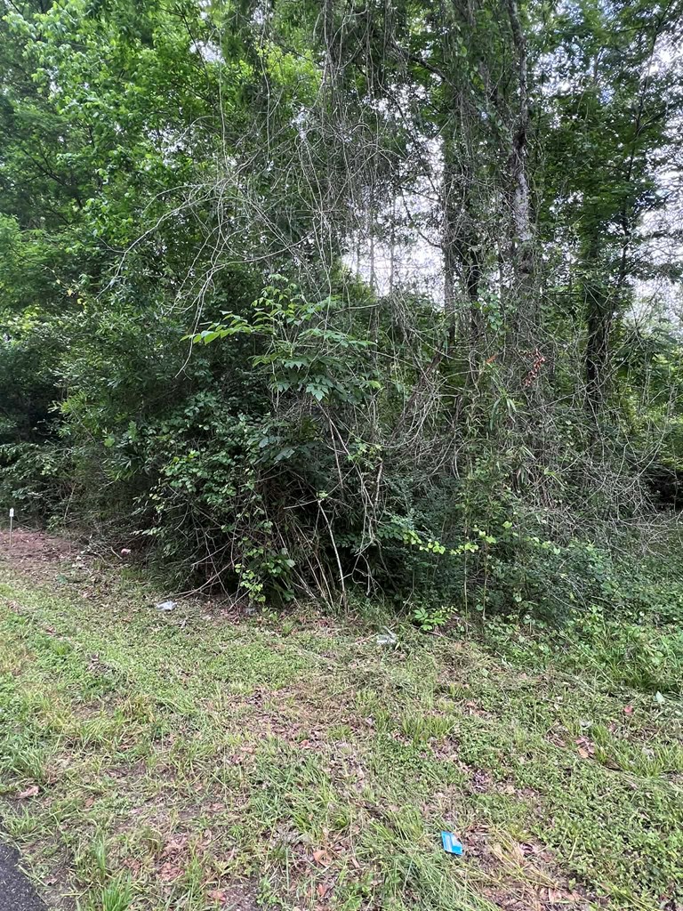 1003 Shady Lane