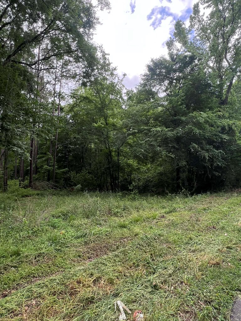 1003 Shady Lane