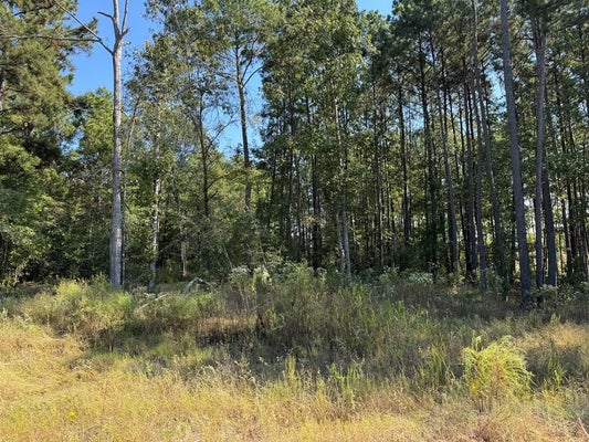 ADDRESS PRIVATE, LUFKIN, TX  - Image 25ff5ea839c4705b41ca781917954bbf/3349181817