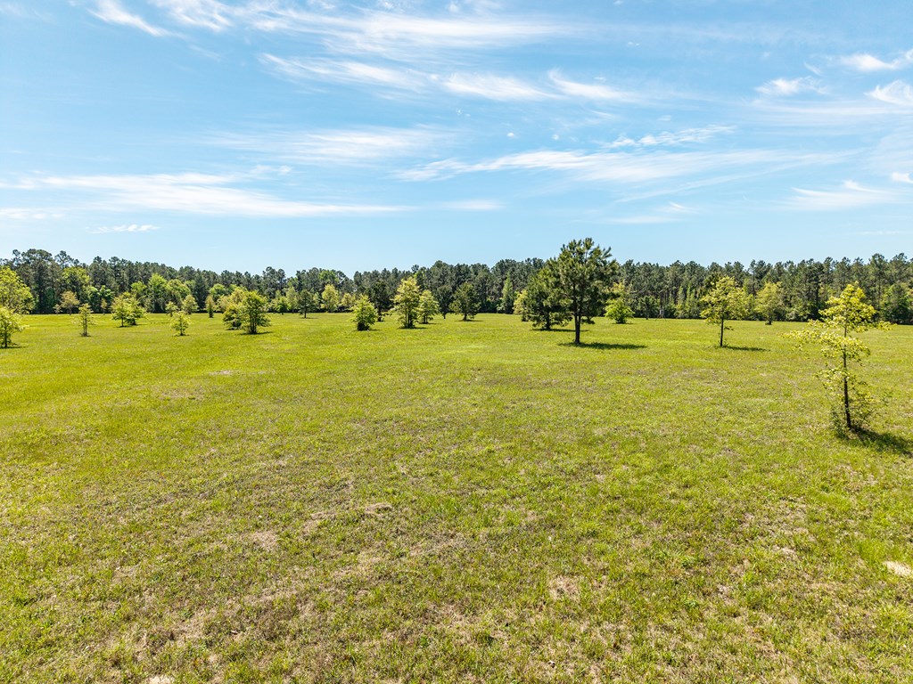 1617 S Scrub Creek Rd