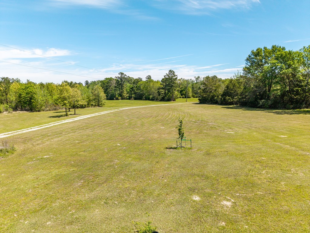 1617 S Scrub Creek Rd