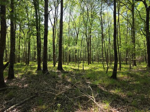 40.9 AC W US Hwy 190 Jasper TX 75951