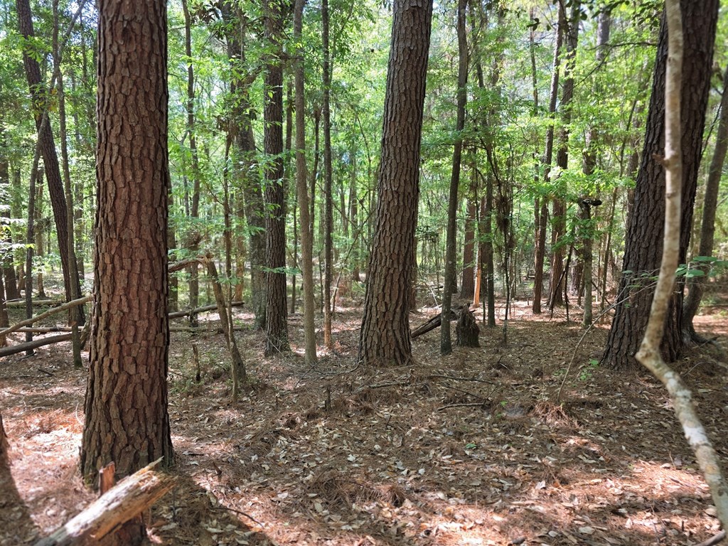 40.9 AC W US Hwy 190