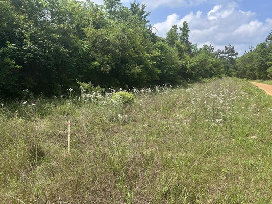 134 COUNTY RD 175, GARRISON, TX 75946 - Image 35c3c38d2d7604d565688dcbf19ecc5d/2326427676