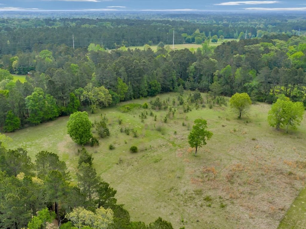 LOT 1 Sycamore Drive