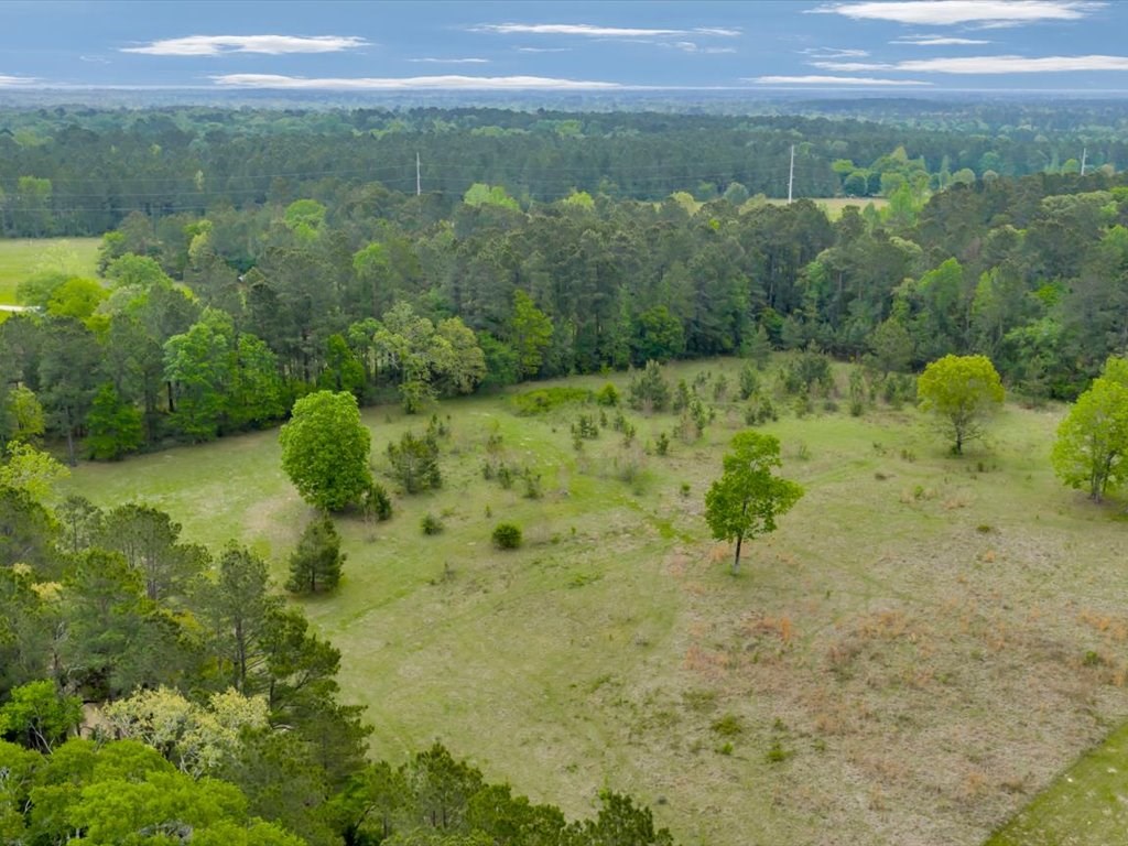 LOT 1 Sycamore Drive