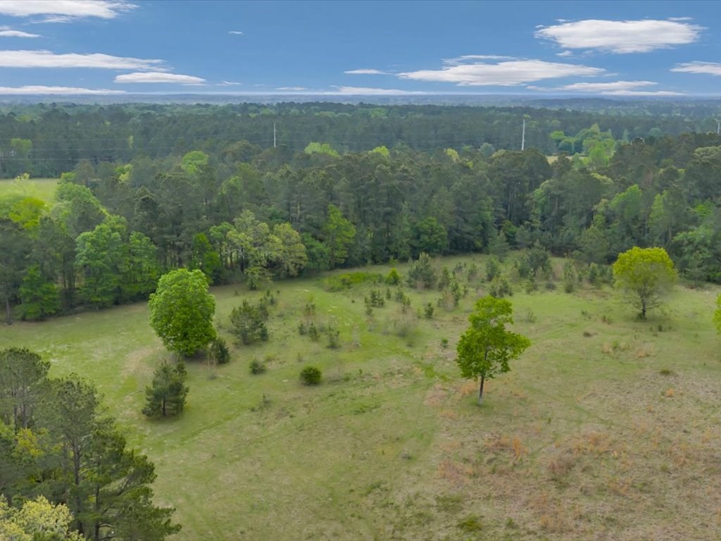 LOT 1 Sycamore Drive