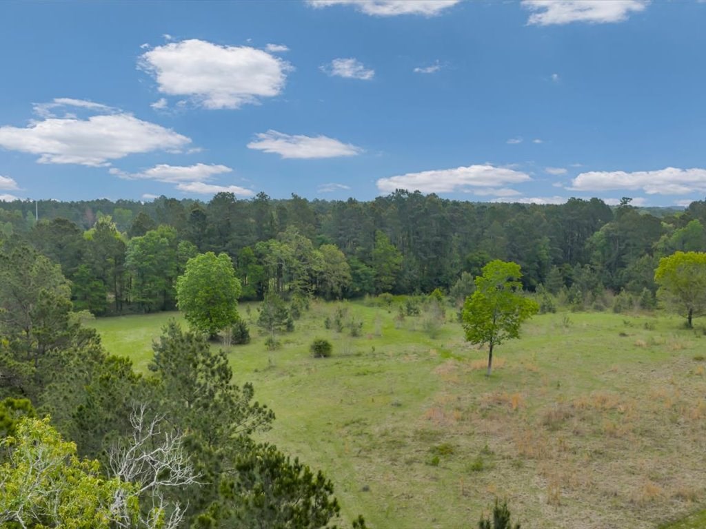 LOT 1 Sycamore Drive