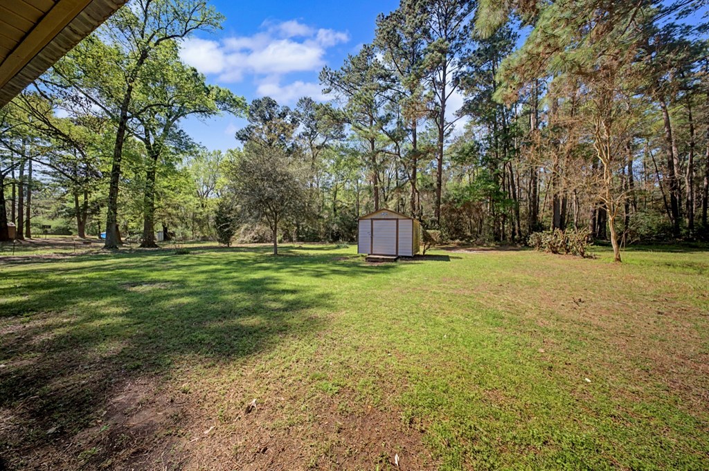 95 Wright Patman Drive