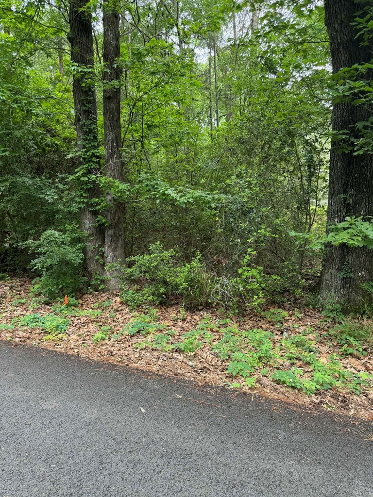 Lot 3 Old Gobblers Knob Rd