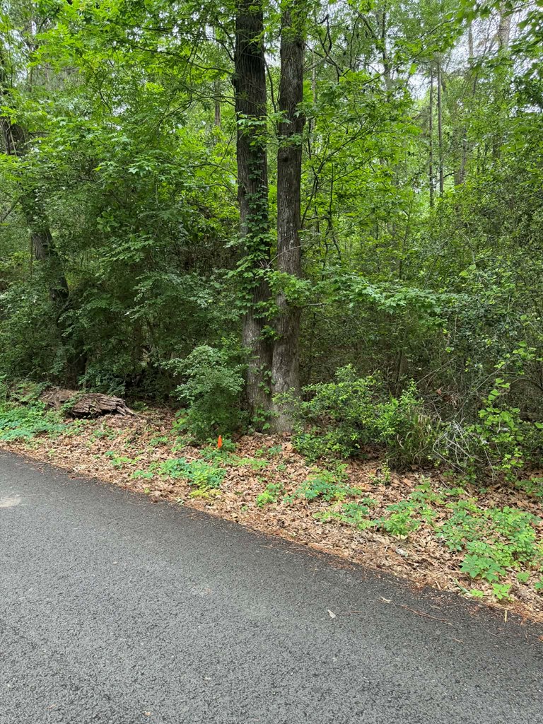 Lot 3 Old Gobblers Knob Rd