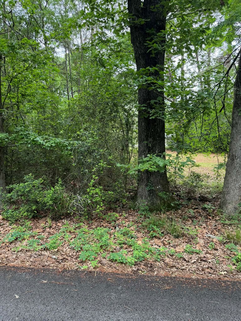 Lot 3 Old Gobblers Knob Rd