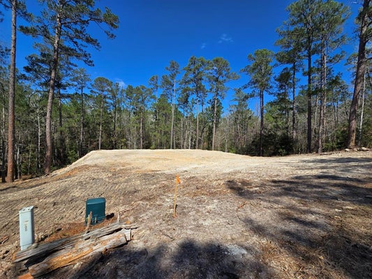 173 RED SQUIRREL DR, BROOKELAND, TX 75931 - Image 49a31dbb6dbe05b1bb27cd36ced01eae/1353495010