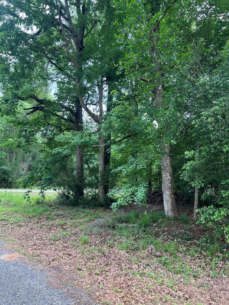 1993 Oak Grove Road