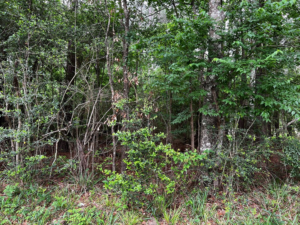 Tract 34 Benton Drive