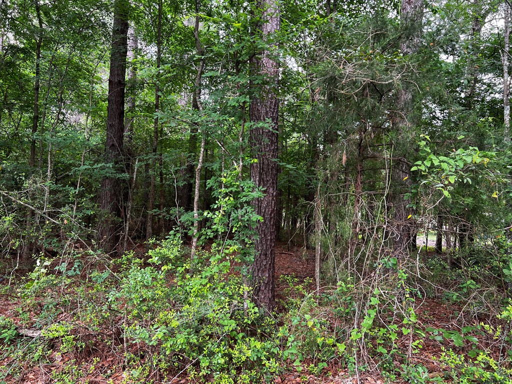 Tract 34 Benton Drive
