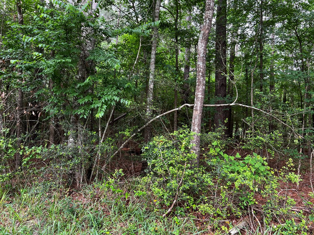 Tract 34 Benton Drive
