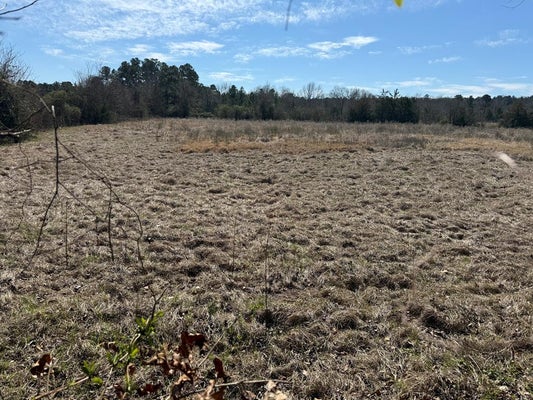 R10334 BASHAM ROAD, POLLOK, TX 75969 - Image 4f9c8d8fcec9cfce03dd049f038b6ef2/2874386533