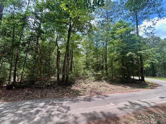 141 JOHN KEELY RD, ZAVALLA, TX 75980 - Image 507a03d2cf96cd1d6bfa6363c01151f5/3098509238