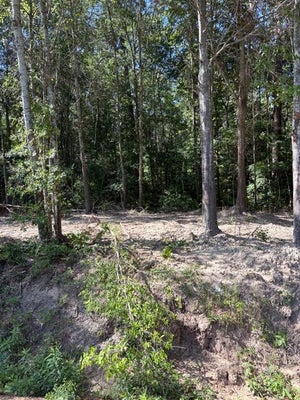 BROUSSARD AVE, LUFKIN, TX 75901 - Image 5bd2b65c6c2128b730e6a6e64b2f794c/214636632