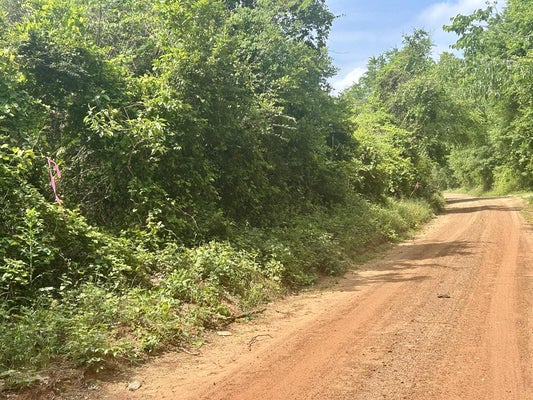 134 COUNTY RD 175, GARRISON, TX 75946 - Image 5e51fa314b520aeba6e1c2d0317c2ea6/3113023891