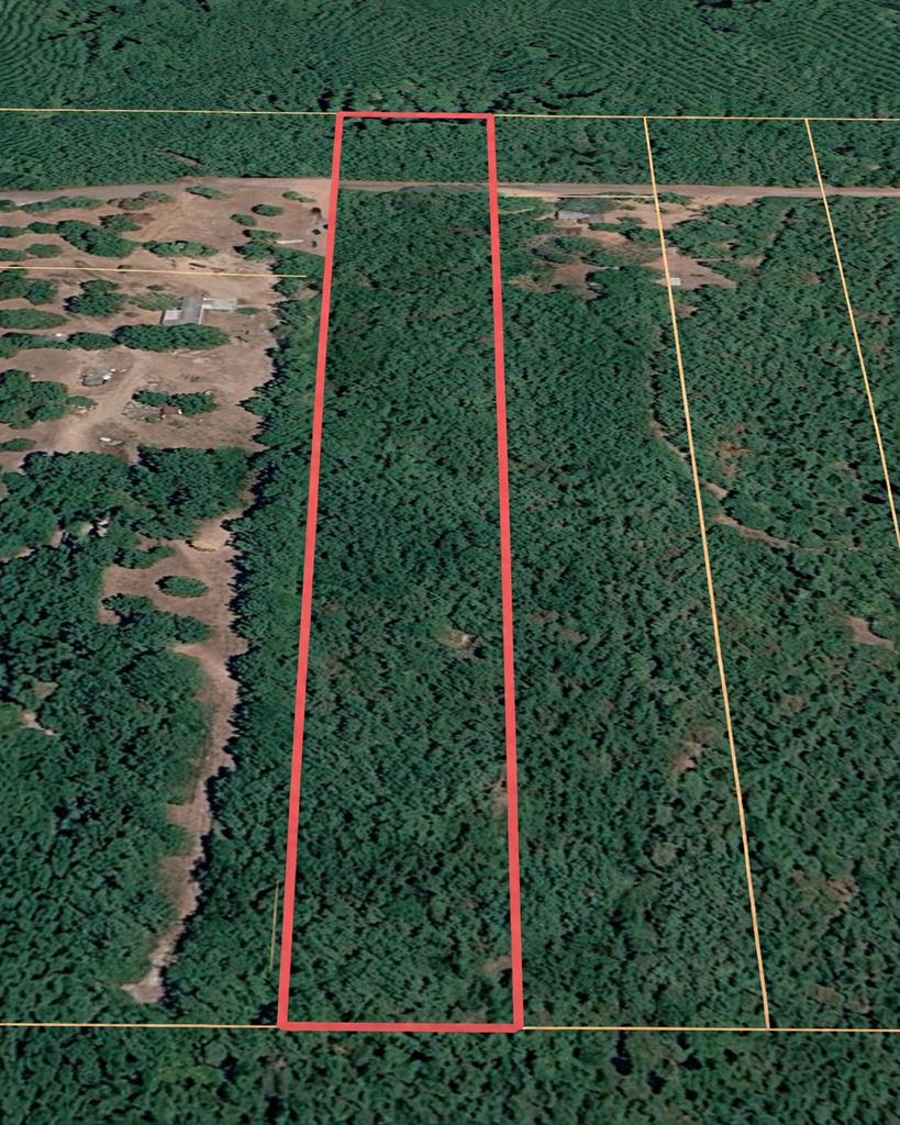 L98486 Grimes Flournoy Road