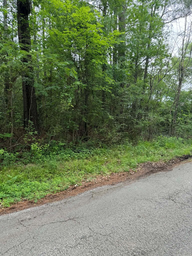 Lot 6 Old Gobblers Knob Rd