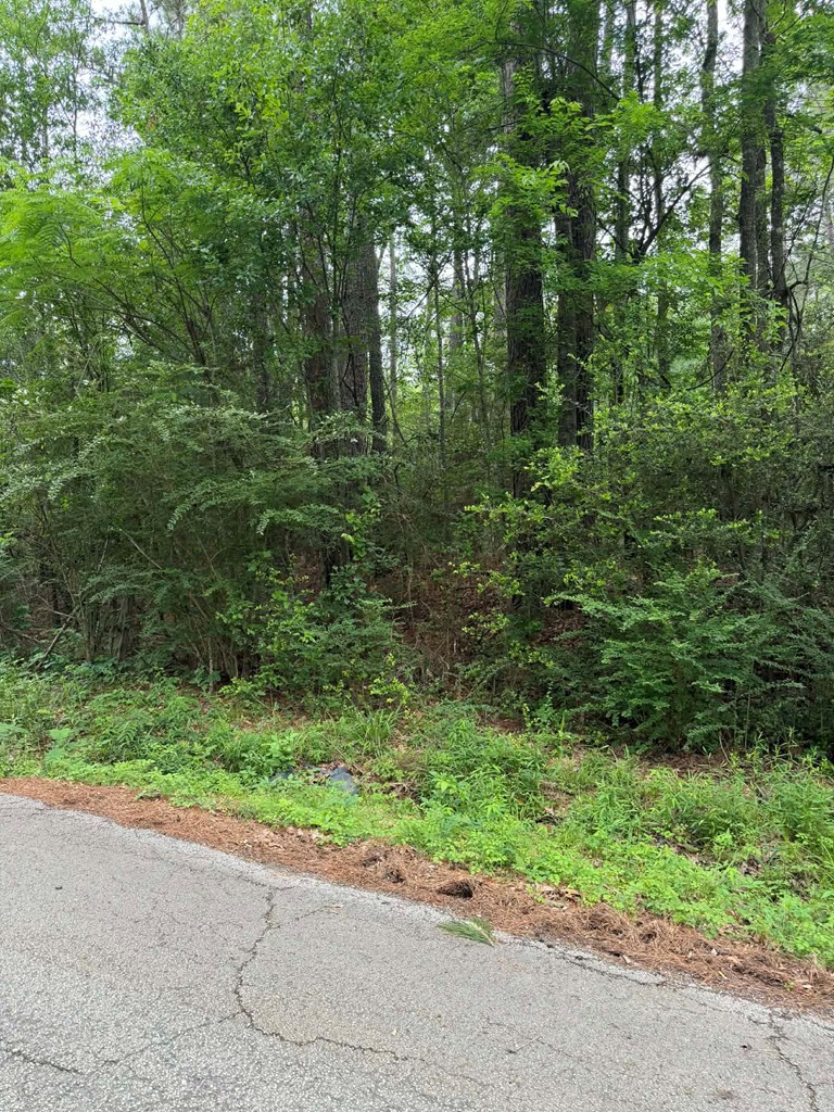 Lot 6 Old Gobblers Knob Rd