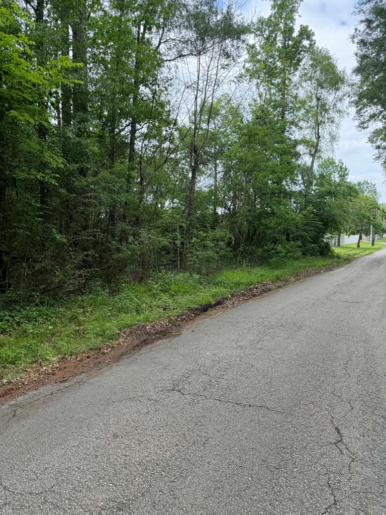 Lot 6 Old Gobblers Knob Rd