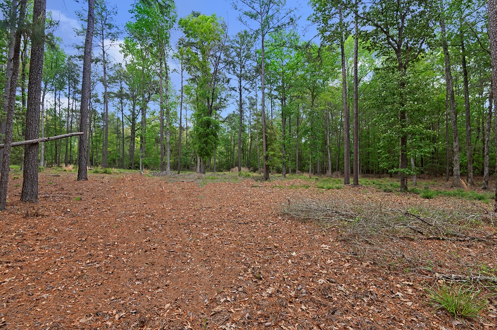 R031284 White Pine Drive