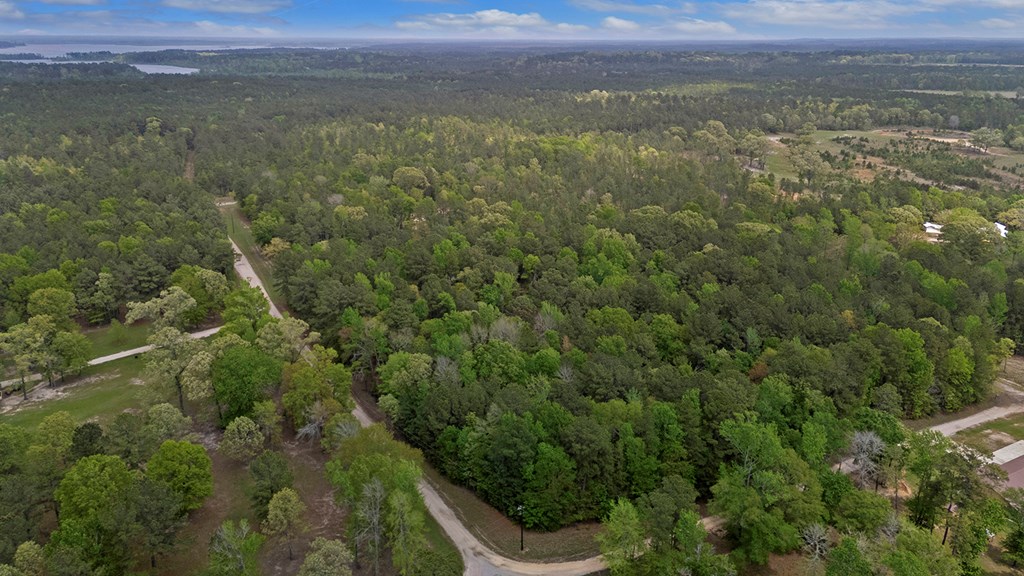 R031284 White Pine Drive