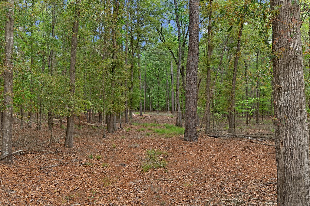 R031284 White Pine Drive
