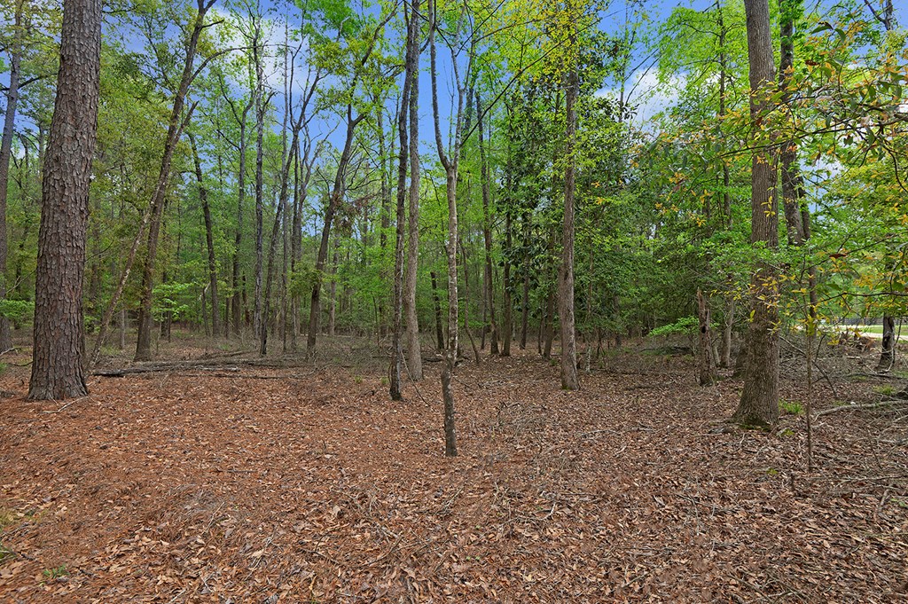 R031284 White Pine Drive