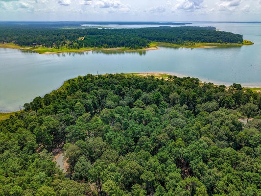ADDRESS PRIVATE, BROADDUS, TX 75929 - Image 6bf5524facbc41d9d37cda9d28fe2c4f/2581599602