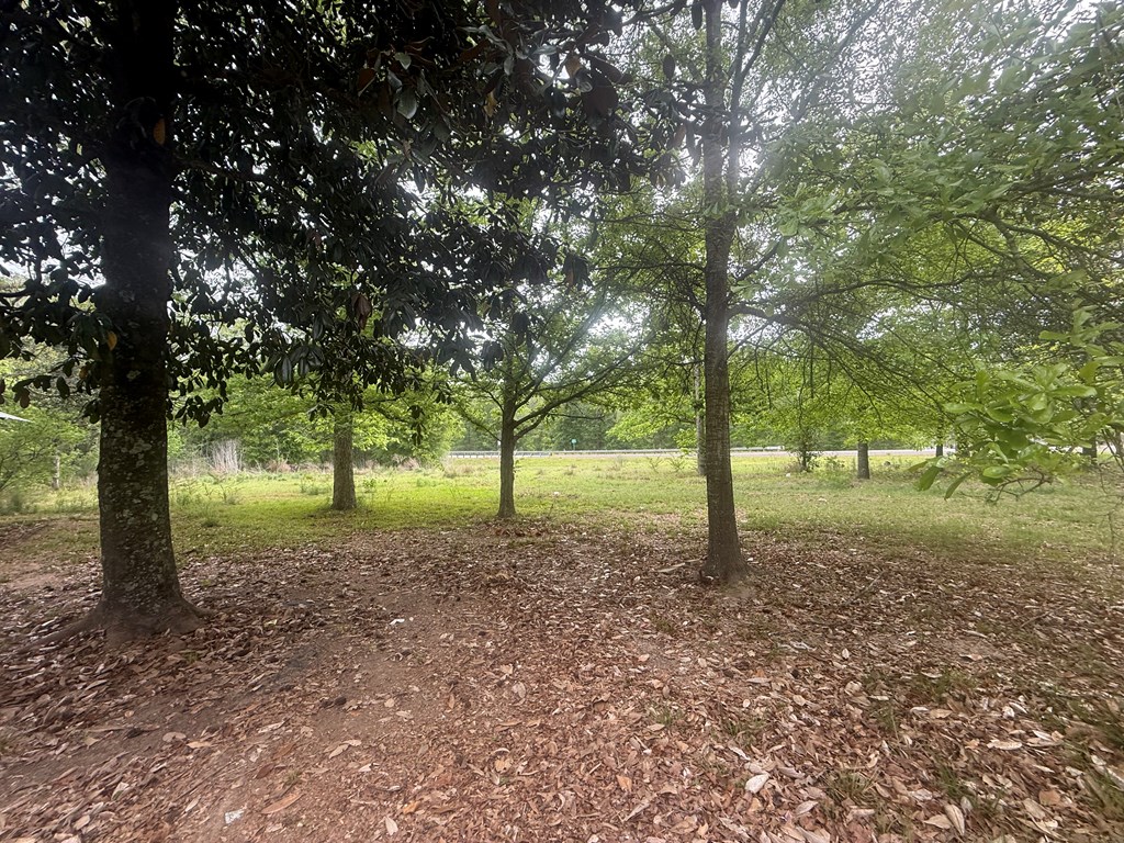 7273 County Line Road