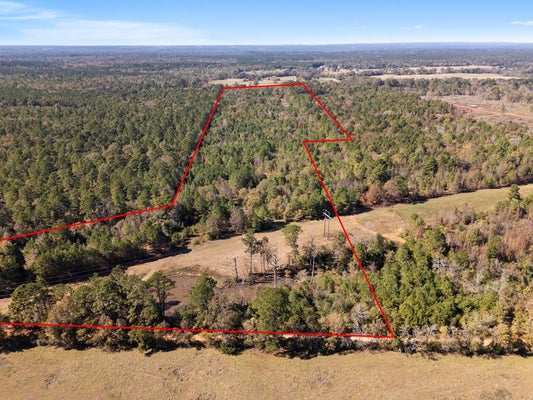 281 COUNTY RD 847, CUSHING, TX 75760 - Image 707156c8aeaaef1a54e48dcbb05dcb4e/713418839