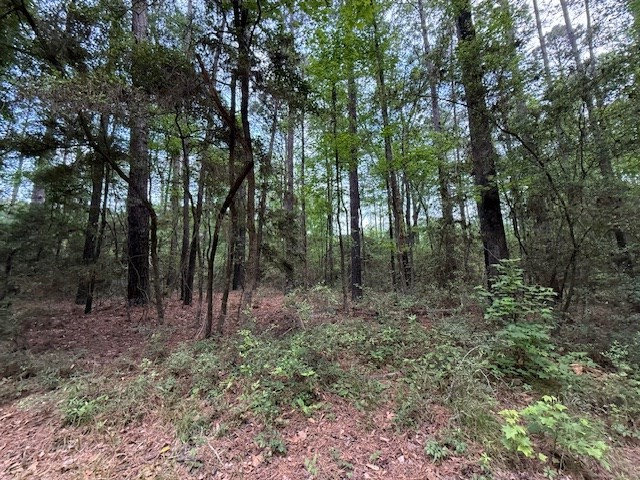 825 (Lot) Admiral Drive