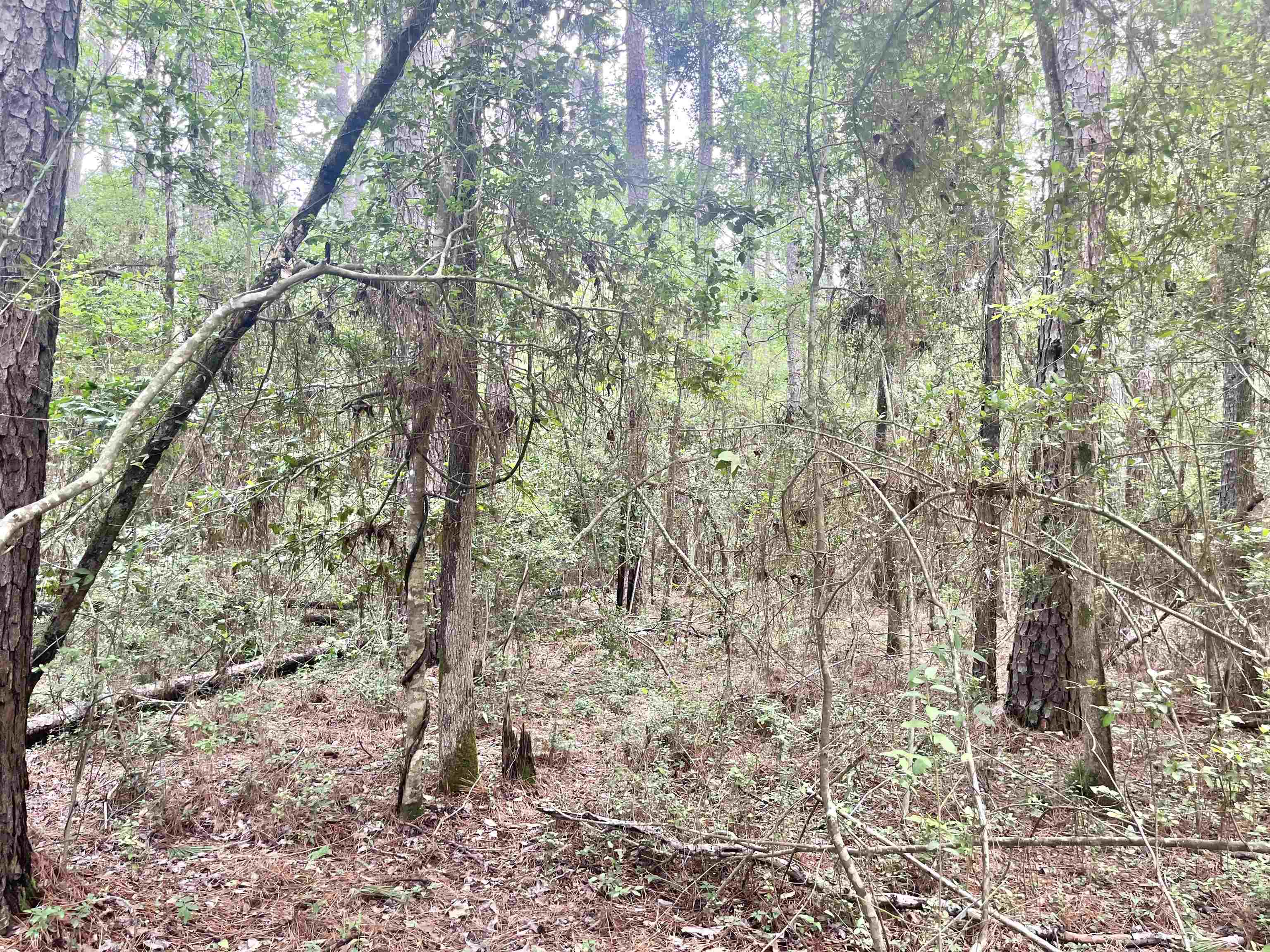 Lot: 532 Starfish Dr.