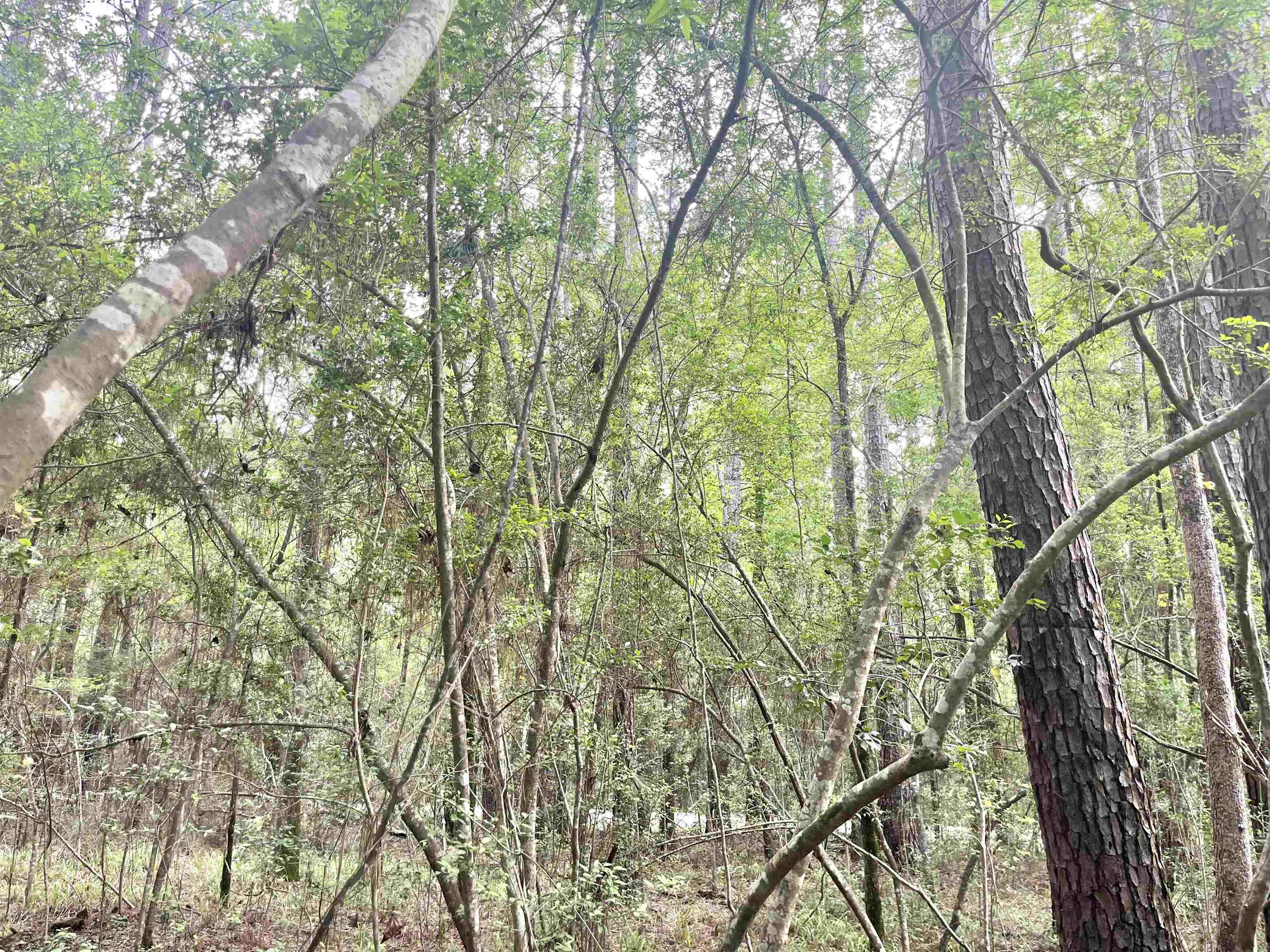 Lot: 532 Starfish Dr.