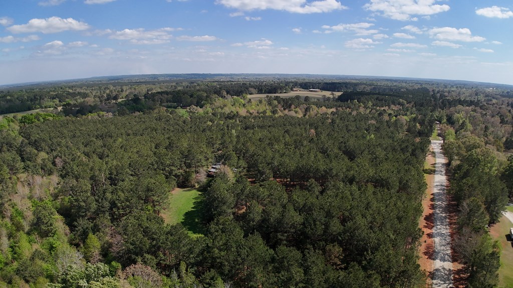 LOT 6 County Road 234