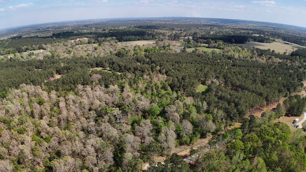 LOT 6 County Road 234