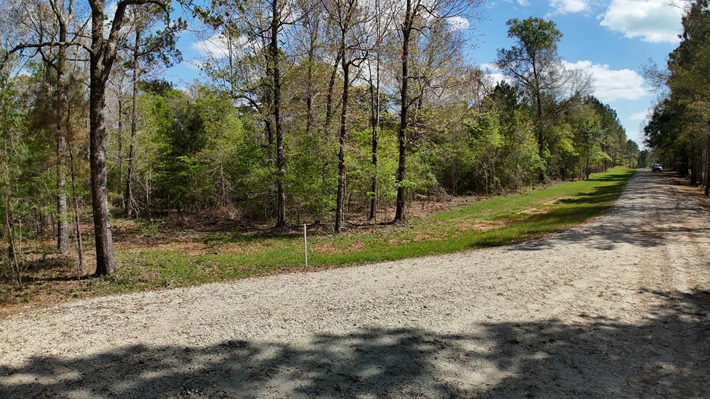 LOT 6 County Road 234