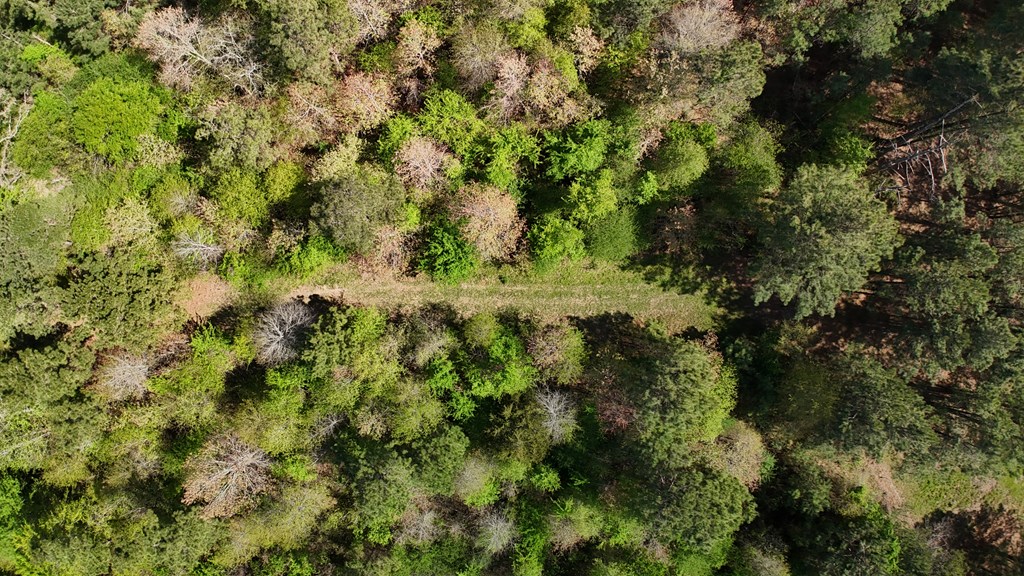 LOT 6 County Road 234