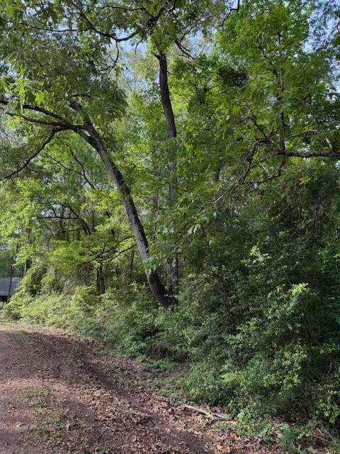 541 (Lot) LAKESHORE DRIVE