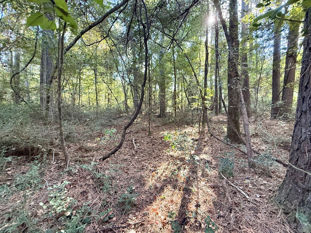 Lot: 52 Commodore Drive