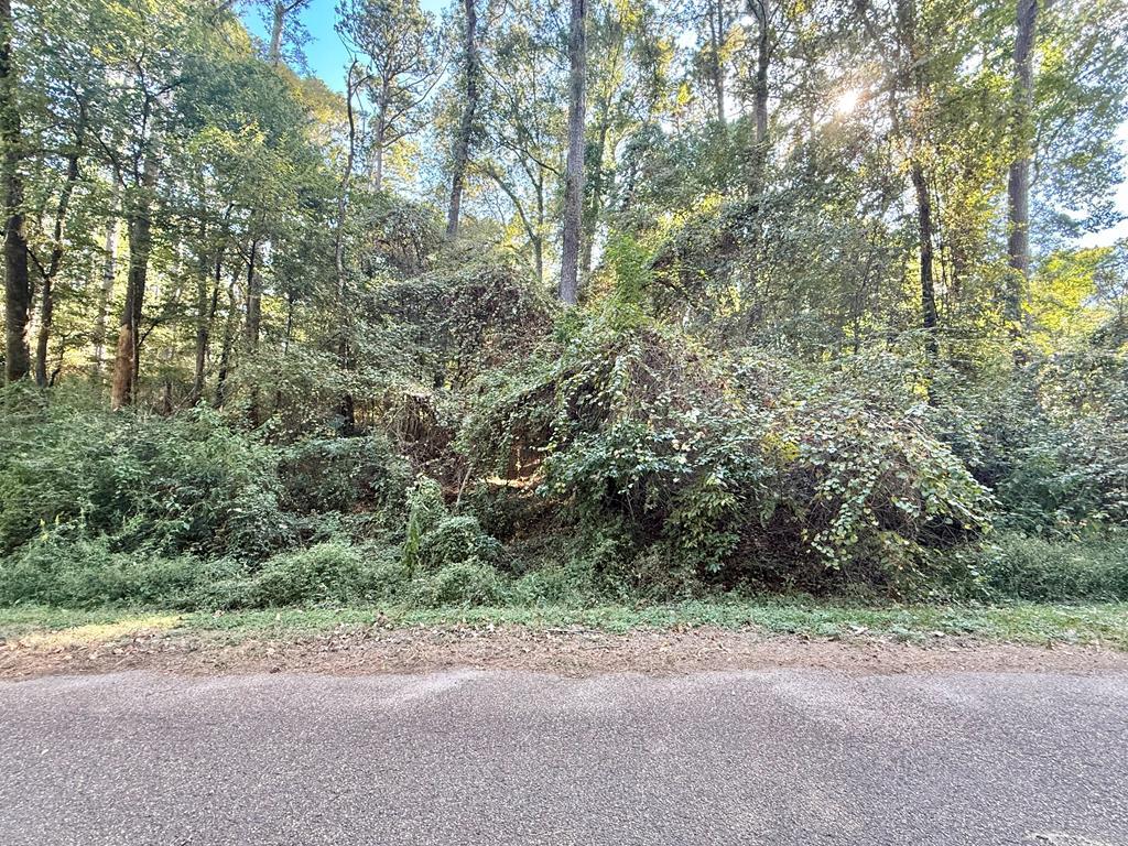 Lot: 52 Commodore Drive