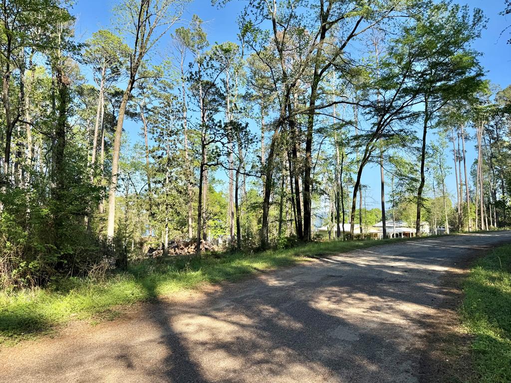 Lot: 52 Commodore Drive